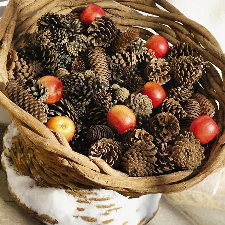 Garni Matthaeuserhof Aparthotel 3*