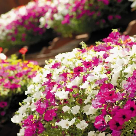 Garni Matthaeuserhof アパートホテル ゲルロス