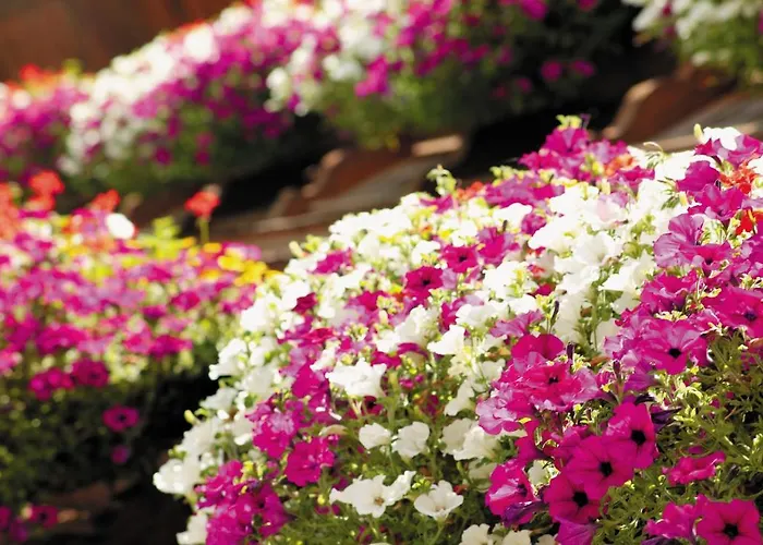 Garni Matthaeuserhof Apart-hotel Gerlos