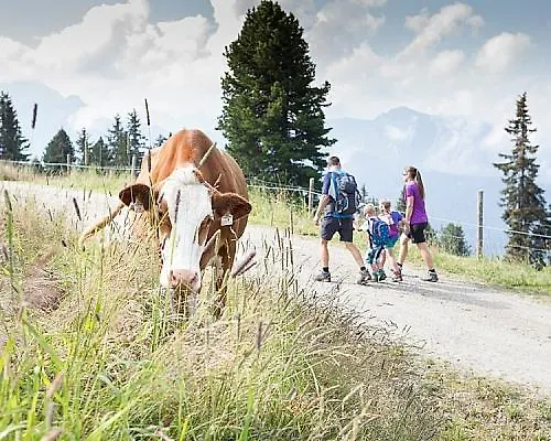 Garni Matthaeuserhof Apart-hotel 3*