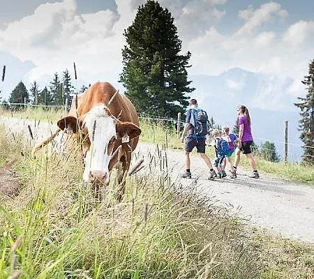 غارني ماتهاوسيرهوف الفندقية شقة فندقية 3*