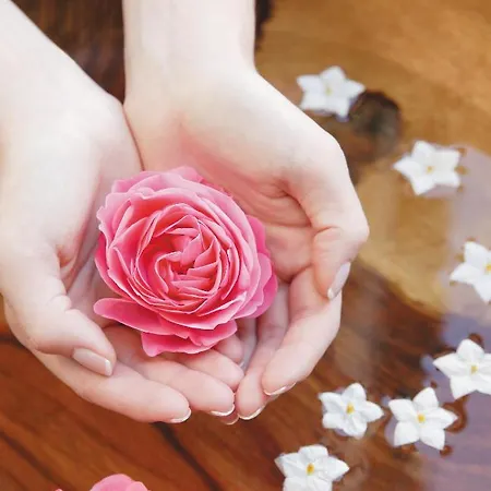 غارني ماتهاوسيرهوف الفندقية 3*