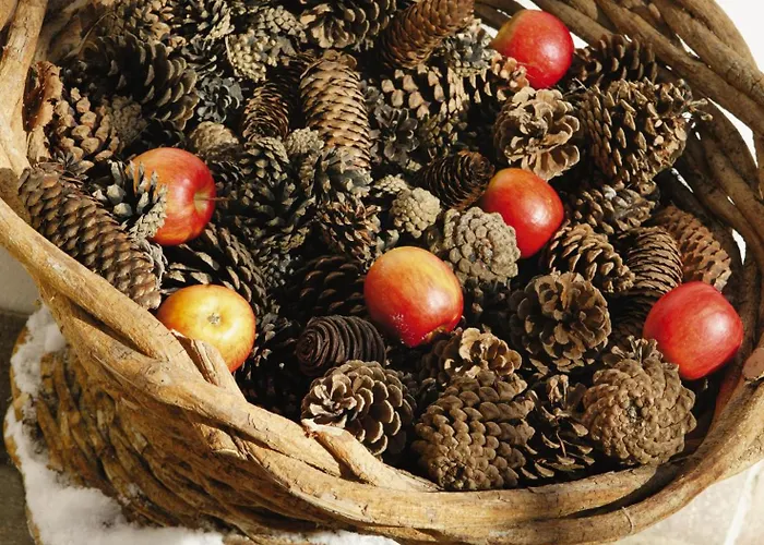 加尔尼马特豪斯霍夫公寓式酒店 公寓式酒店 3*