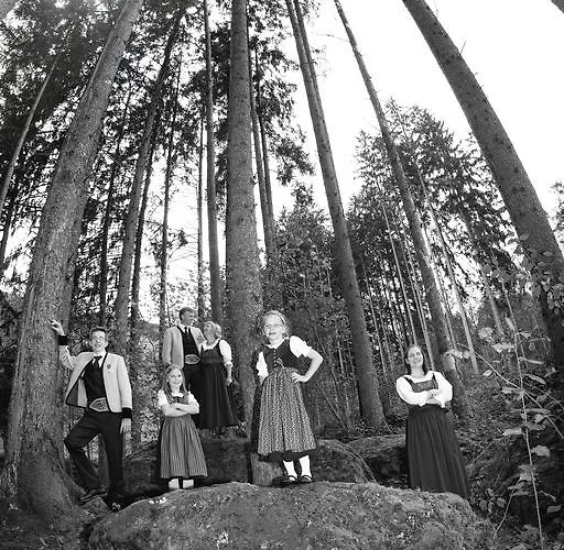 加尔尼马特豪斯霍夫公寓式酒店 公寓式酒店 盖洛斯