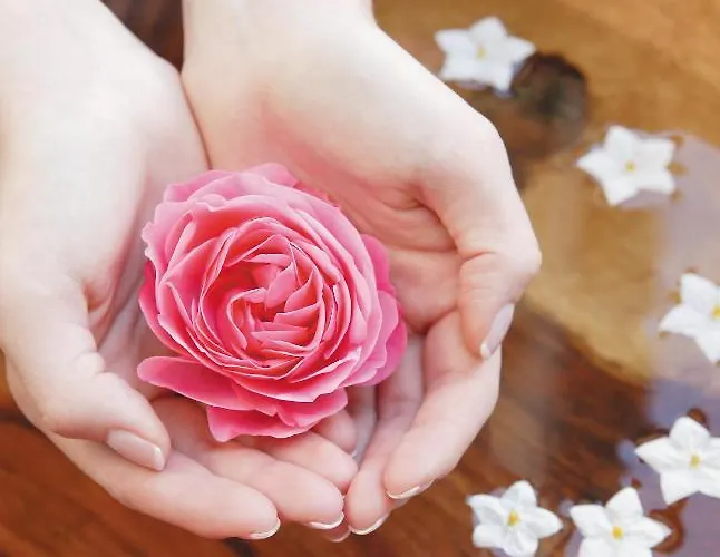 加尔尼马特豪斯霍夫公寓式酒店 3*